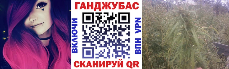 Бошки Шишки планчик  сколько стоит  Бабаево 
